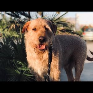 Meet your Posher, Kelli